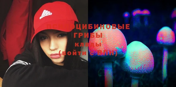 ECSTASY Алзамай