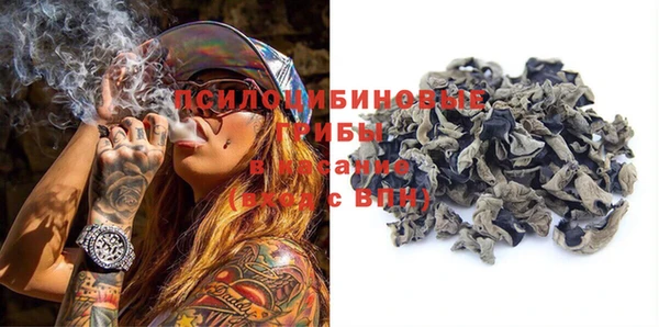 ECSTASY Алзамай