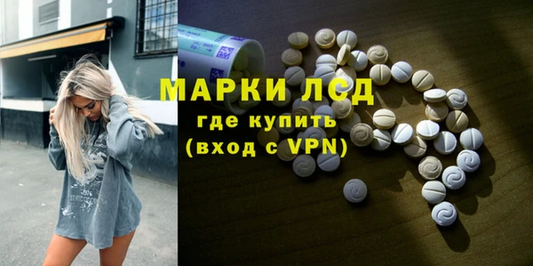 ECSTASY Алзамай