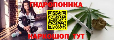 твердый Севастополь