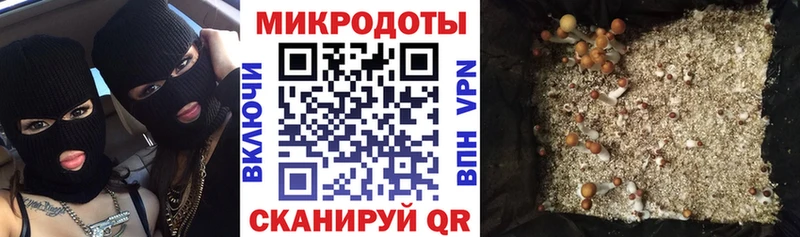 blacksprut ссылка  Севастополь  Галлюциногенные грибы Cubensis 