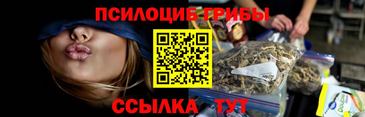 Псилоцибиновые грибы Psilocybe  Вход с VPN  Севастополь 