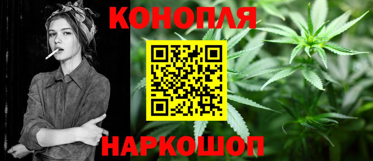 Шишки марихуана марихуана Севастополь